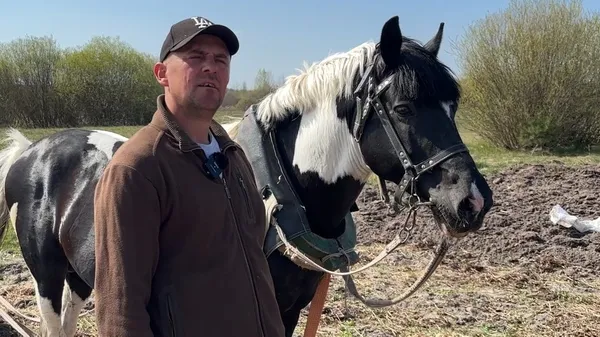 70 мішків «під коня»: як на Волині всією родиною висаджують гектари картоплі (фото, відео)