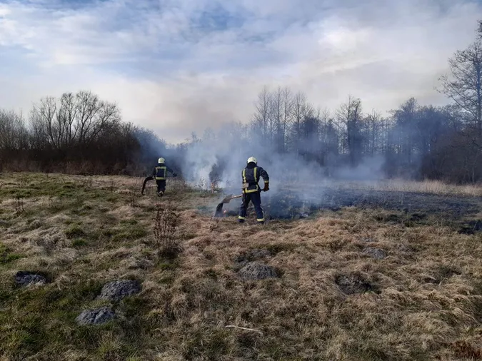 На Волині за добу ліквідували 13 пожеж сухої трави (фото)