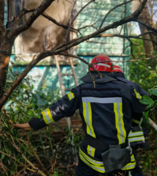 На Волині з палаючого будинку люди дістали чоловіка (фото)