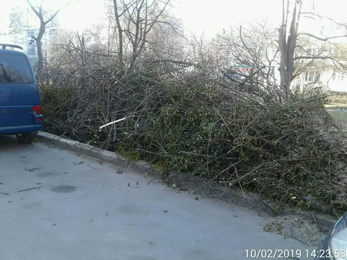 Луцький двір захаращили гілками після кронування (фото)
