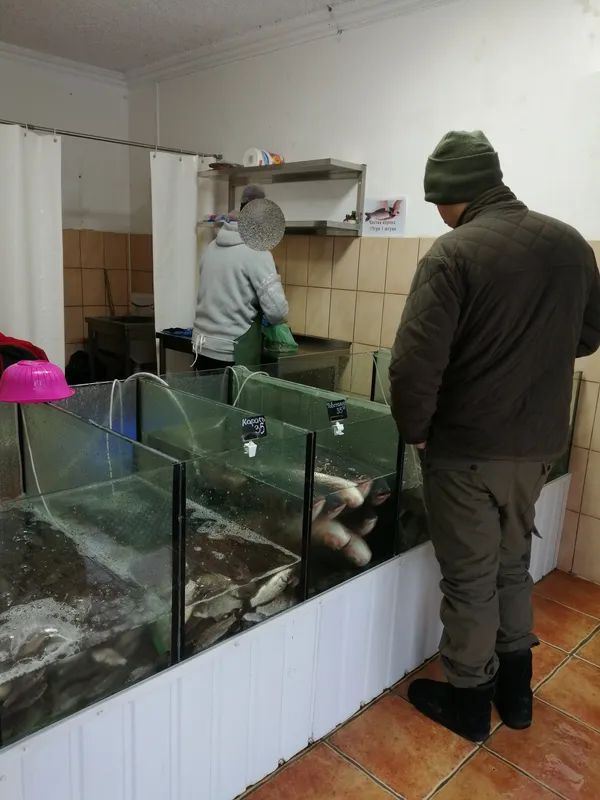 У магазині в Ковелі продавали щуку без документів (фото)