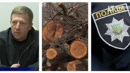 На Волині – скандал з поліцією: куди зникла вантажівка з дубом? (відео)