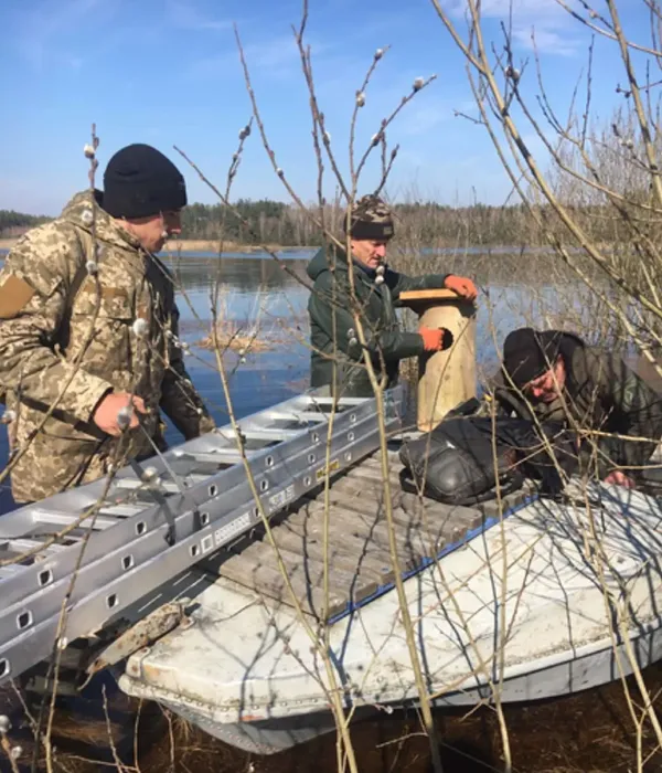 Розчищали річки і рятували гоголів: як відроджували парк «Прип'ять-Стохід» (фото)