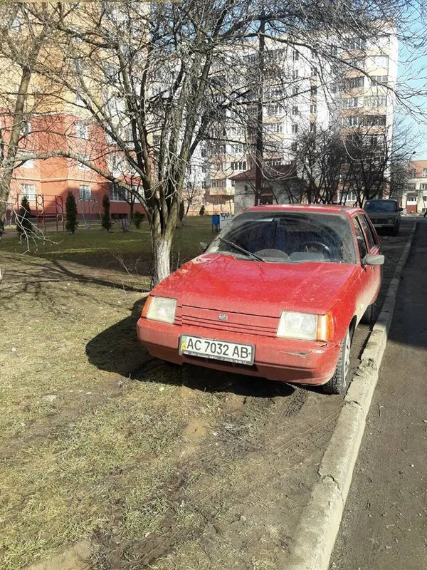 Муніципали знову борються з автохамами в Луцьку (фото) 
