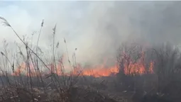 Безвідповідальність людей вражає: на Волині горіло понад два гектари сухої трави (фото)