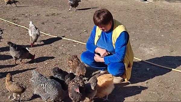 Мешканка Луцького району вирощує понад сто сортів хризантем (фото, відео)