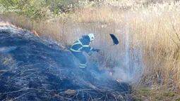 На Волині рятувальники за добу загасили 4 пожежі (фото)