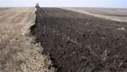 На Волині гектар землі став яблуком розбрату (відео)