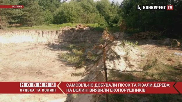 Самовільно добували пісок та різали дерева: на Волині виявили екопорушників (фото, відео)
