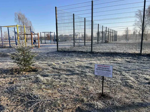 Смердюча ялинка з парку: у Ковелі хвойні дерева обробили репелентами