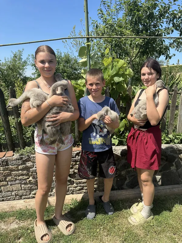 Мімішне поповнення: до Луцького зоопарку діти принесли лебедят (фото)