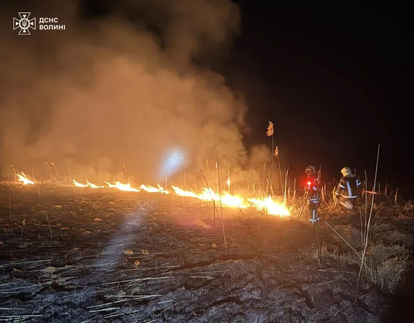 Горіло у трьох районах: на Волині рятувальники ліквідували масштабні пожежі (фото)