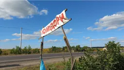 Під Луцьком просто з поля продають помідори: як і за скільки їх купити (фото)