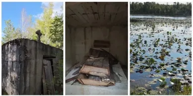 У лісах Полісся знайшли відкритий склеп відомої цілительки (фото, відео)