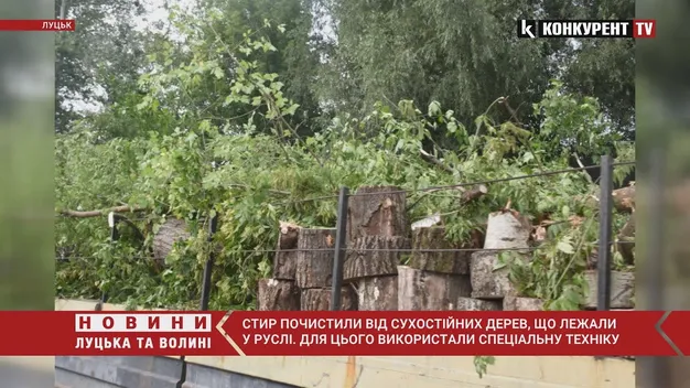 У Луцьку Стир чистять від повалених дерев (фото, відео)