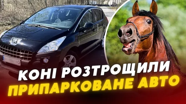 На Волині коні розтрощили припарковане авто (відео)