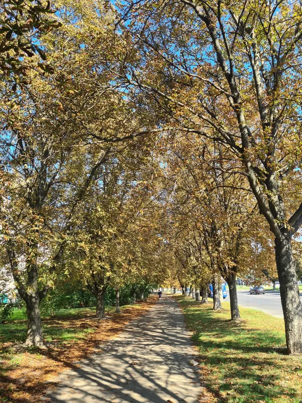 Луцьк у вихідний під теплим осіннім небом (фото)