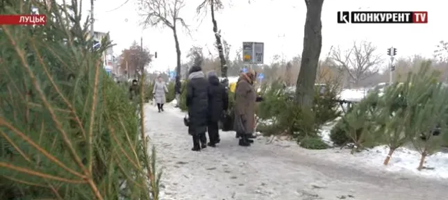 Ялинковий ярмарок у Луцьку: де та за скільки можна купити атрибут свята (відео)