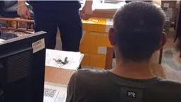 На Львівщині 45-річний збоченець знімав дитяче порно й розбещував 8-річну дівчинку (фото)