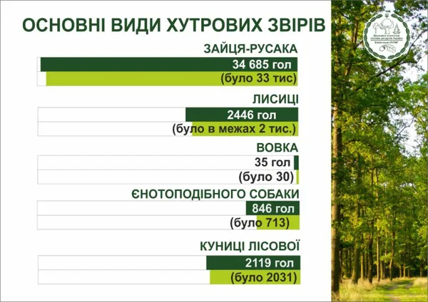 У волинських лісах порахували мисливських тварин