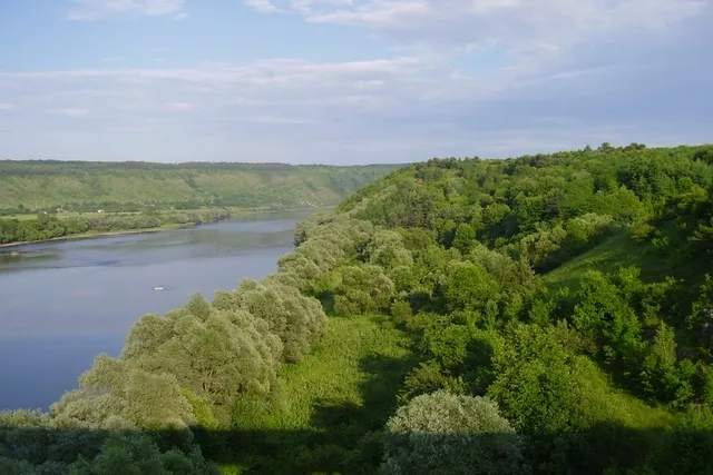 У цьому лісі часто трапляються аномальні явища