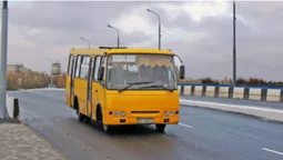 Лучанин «спалив» водія маршрутки, який говорив по телефону за кермом (відео)