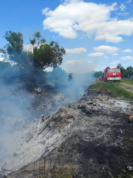 Підпал, дитячі пустощі, необережність: на Волині загасили сім пожеж (фото)