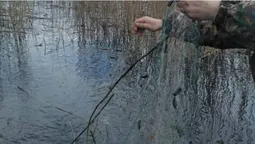 На Волині екоінспектори вилучили пів кілометра браконьєрських сіток (фото)
