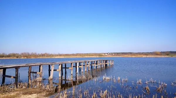 Куди поїхати на велосипеді неподалік Луцька (маршрути)