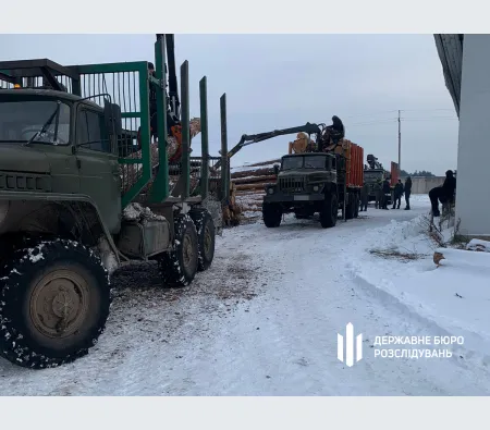 Збитків мільйони гривень: на Волині викрили незаконні вирубки деревини (фото)