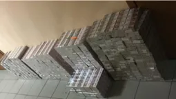 "Загубили" контрабандисти: луцькі прикордонники натрапили у лісі на 10 ящиків цигарок (фото)