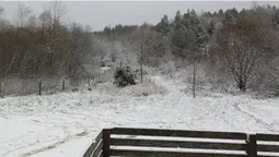 Прикордонники «зафіксували зиму» на кордоні з Польщею (фото)