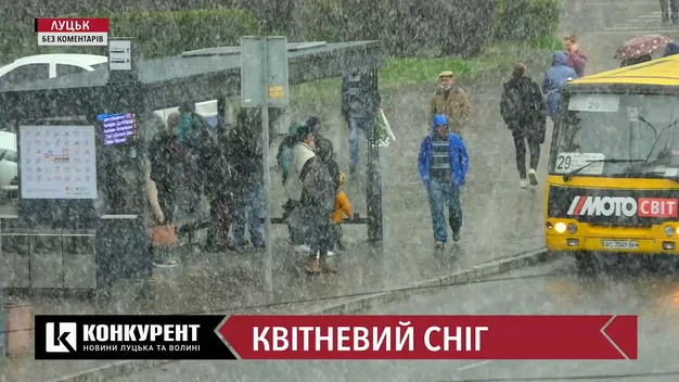 У Луцьку наприкінці квітня випав сніг (фото, відео)