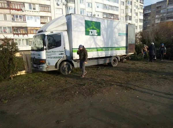 У Луцьку продавці ялинок знищують зелені зони (фото)