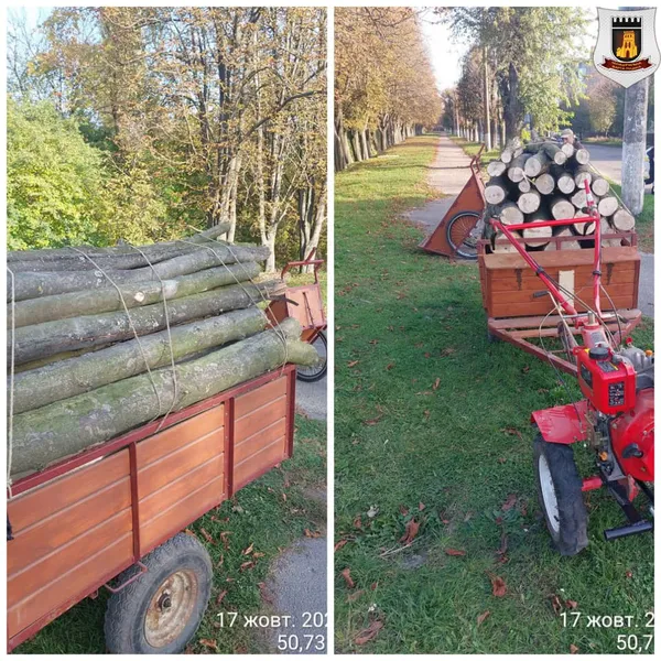 У Луцьку чоловік заготовляв дрова у парку (фото)