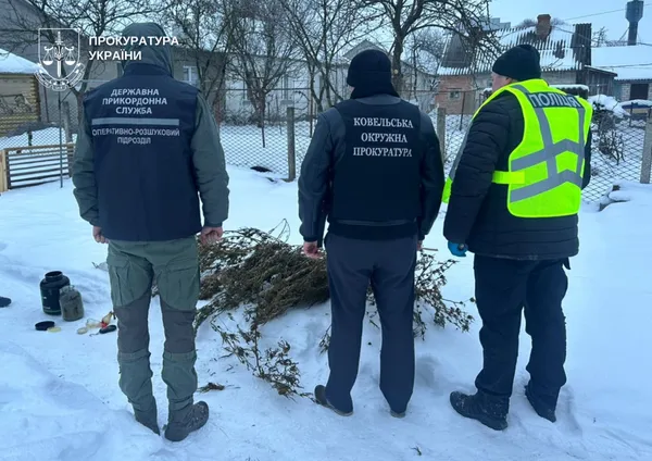 Зберігав пів кіло канабісу та коноплі: на Волині порушнику оголосили підозру (фото)