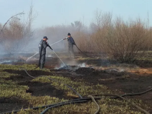 На Волині горять торфовища (фото, відео)