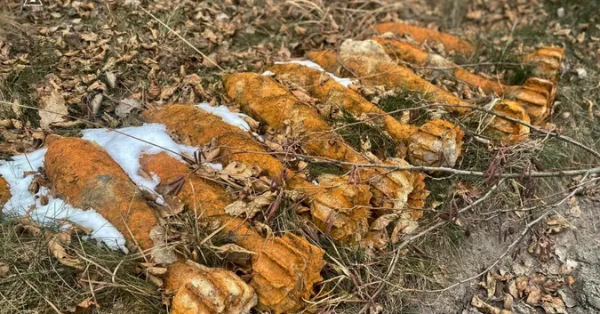 На Ковельщині у землі знайшли вісім мін (фото)
