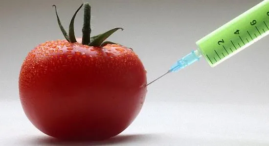 Волинські магазини тихцем продають генетично модифіковані продукти