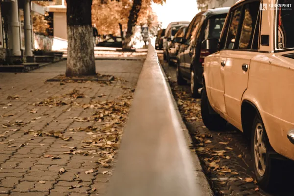 Бабине літо і квіти: осінь-2019 в Луцьку (фото)