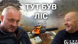 Встигли вирубати дерева: на Волині 50 га лісу роздали у приватні руки, а потім повернули державі (фото)