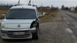 На Волині легковик протаранив підводу – постраждала жінка (фото, відео)