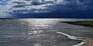 Світязь вразив незвичним видовищем: вода в озері стала схожою на рідке срібло (фото)