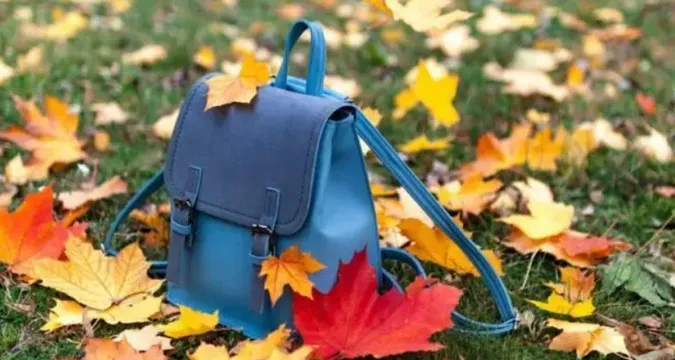 На Волині понад 90 шкіл у 10 громадах відмовилися від осінніх канікул