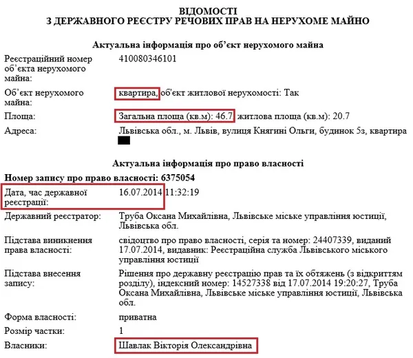 Головний митник Волині «забув» задекларувати маєток дружини площею 600 «квадратів»