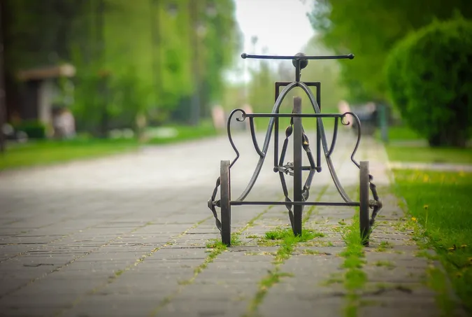 Луцькі замальовки: показали фото квітучого міста