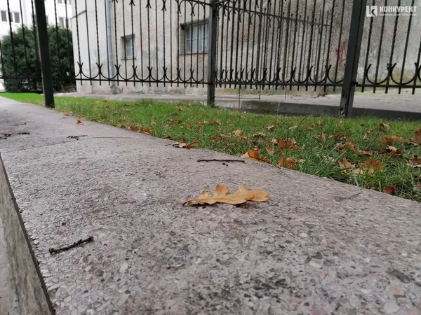 Осінь у  Луцьку (фото)