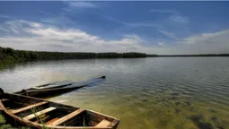 Серед лісу на Поліссі – глибоке містичне озеро, в якому водяться двометрові вугрі (фото)