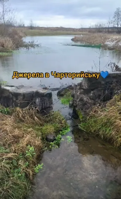 Стирчать труби і не бурлить вода: на Волині зникли унікальні Оконські джерела (фото, відео)