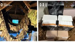 На Волині викрили підпільне виробництво сигарет: вилучили 700 кг тютюну та 9 станків (фото)
